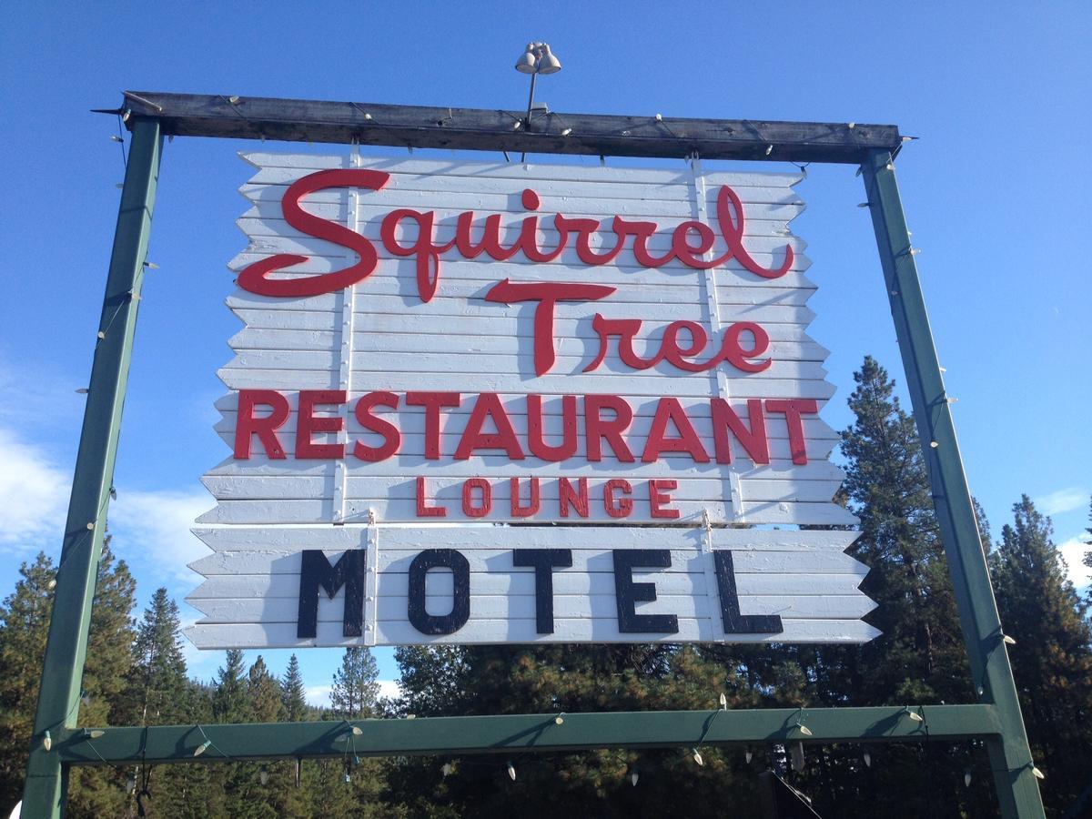 Squirrel Tree Resort Coles Corner Esterno foto